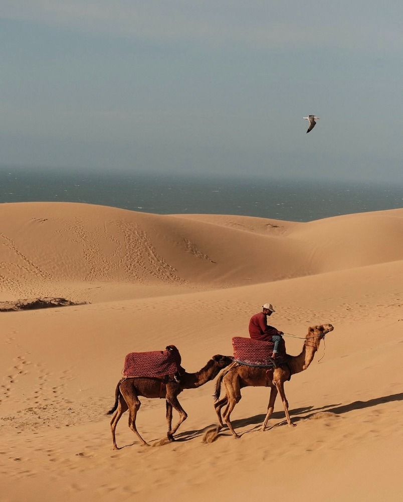 Timlaline Dunes Trip